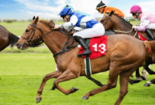 How do you manage the financial aspects of maintaining a racehorse?