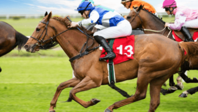 How do you manage the financial aspects of maintaining a racehorse?