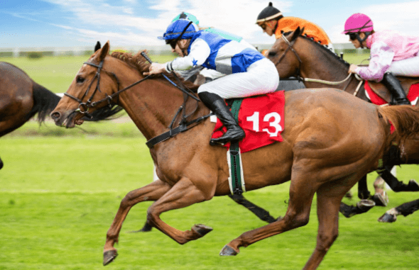 How do you manage the financial aspects of maintaining a racehorse?