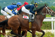 How important is temperament in a racehorse, and how do you assess it?