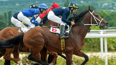 How important is temperament in a racehorse, and how do you assess it?