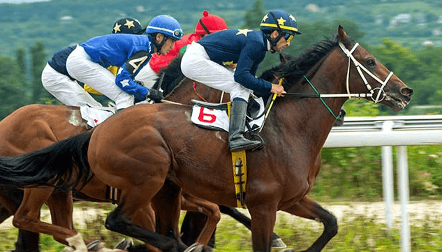 How important is temperament in a racehorse, and how do you assess it?