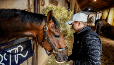 Brad E Cox Net Worth: Horse Trainer's Earnings