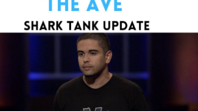 The Ave Shark Tank Net Worth: Streetwear Brand's Financial Insights