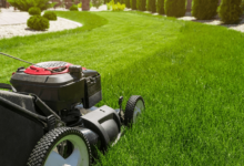 How to Maintain a Beautiful Lawn All Year Round