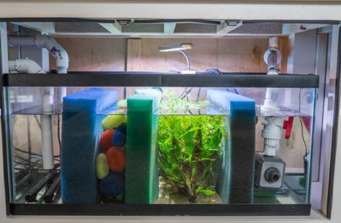 Burtons Aquatics Drum Filter: Premium Self-Cleaning Filtration for Koi and Garden Ponds