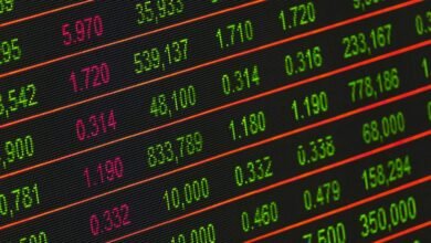 top 2025 sector stocks