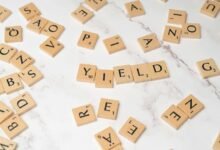 top dividend stock options