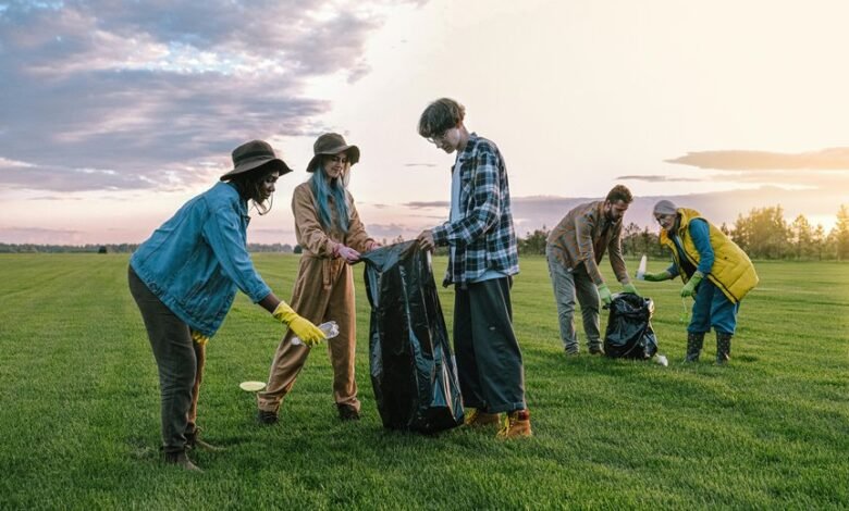 debt collection services provided