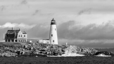 lopulgunzer evaluation and guidance