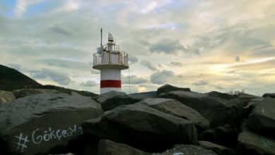 phone directory features overview