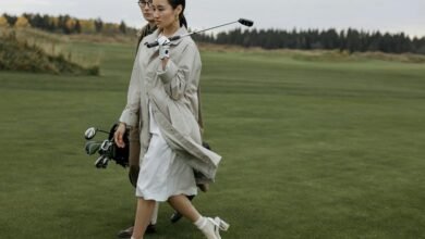 profile insights and engagement