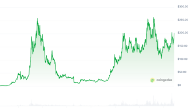 How to Use the Solana Chart to Predict Future Price Trends