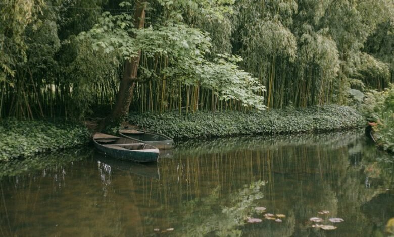 digital monetization revenue network