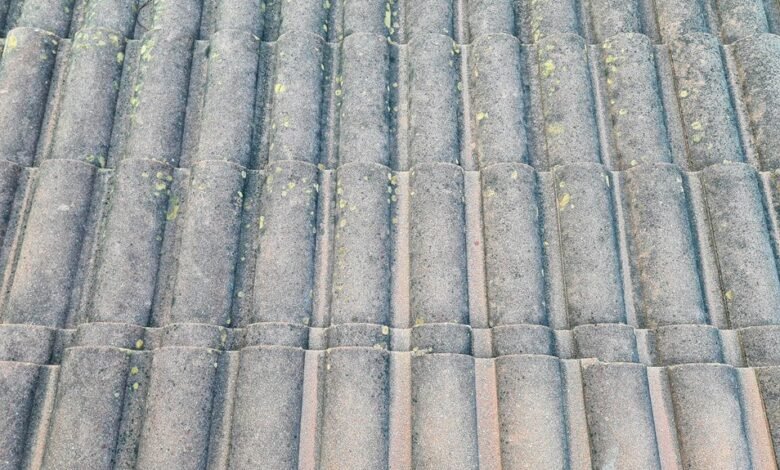 growth exposure system 7137999975