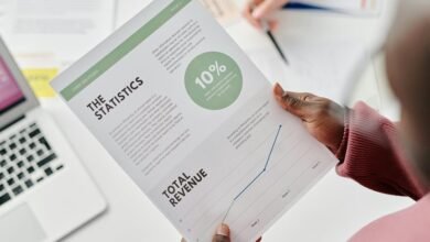 growth through revenue momentum