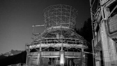 online growth strategy development