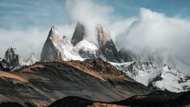 roi conversion success architecture