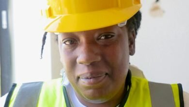 search momentum builder visibility