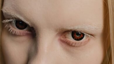 contact details overview provided