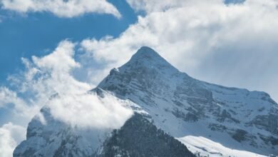 digital fusion conference 3482602372