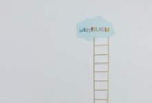 nova path growth ladder