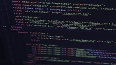 digital query pattern lopulgunzer usage