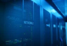 foster from cryptopronetwork