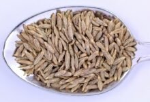 nivhullshi ingredients described succinctly