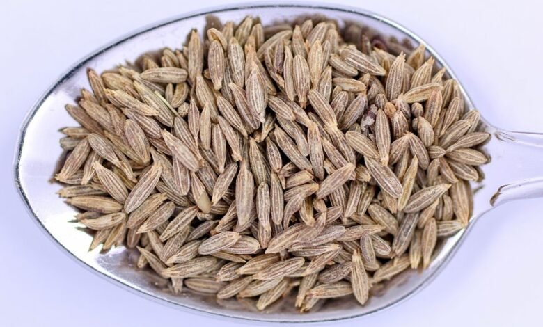 nivhullshi ingredients described succinctly