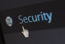 online identity username collection