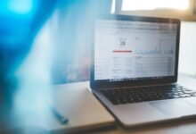 web entity discoveries and content signals